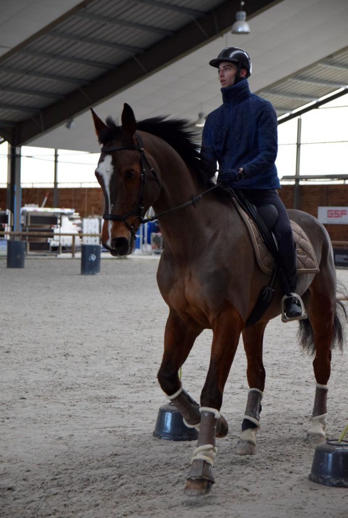 Pension cheval Pays de la Loire Deux-Sèvres