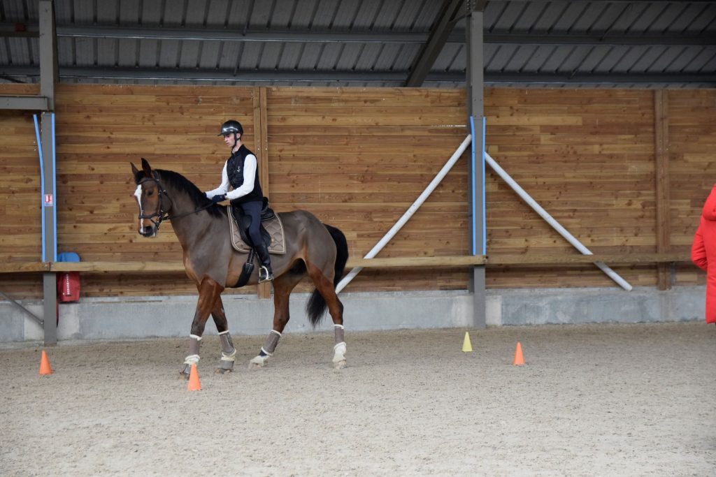 Pension cheval Vendée, Bretagne, Pays de la Loire Deux-Sèvres