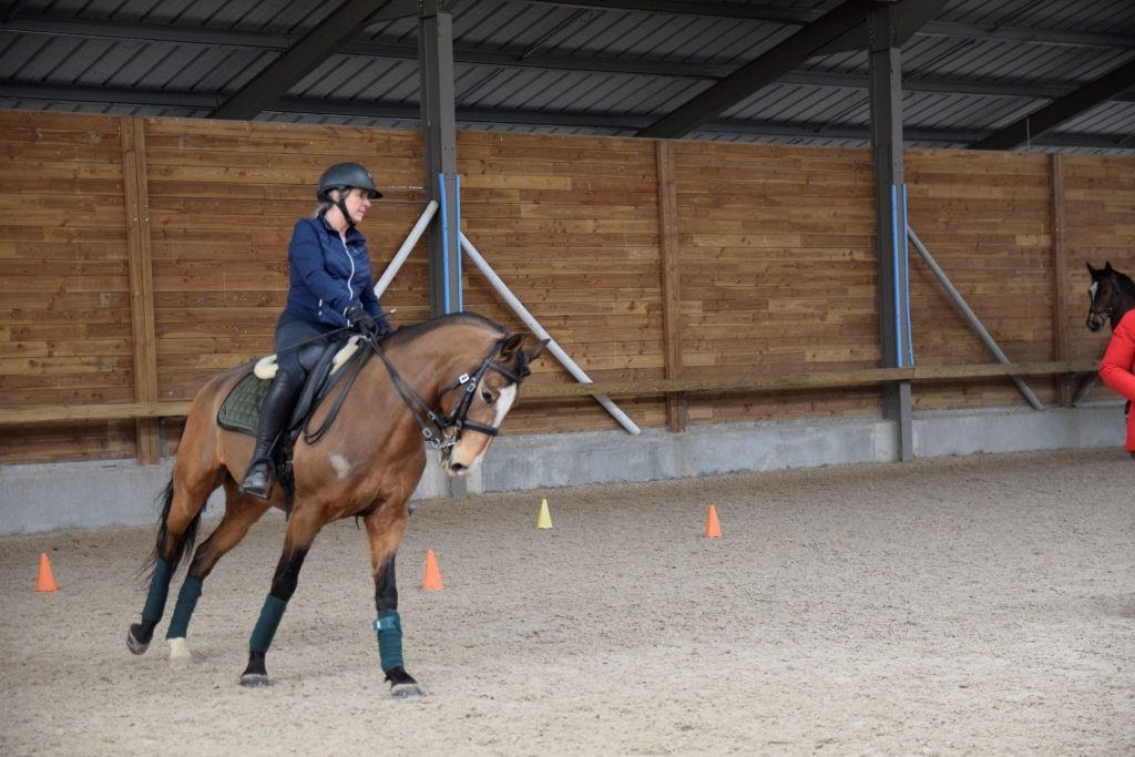Vente de chevaux Vendée